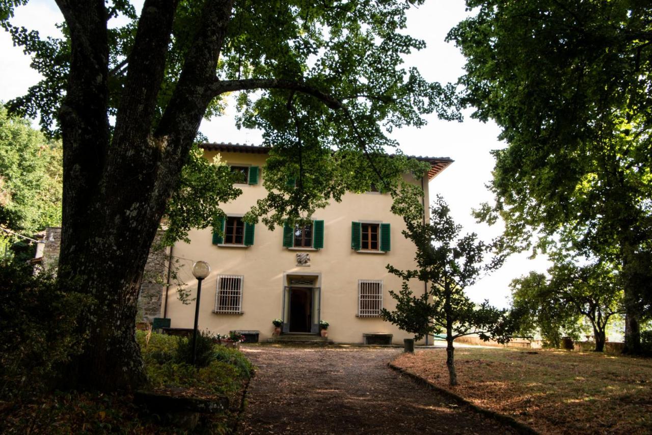Fattoria Di Caticciano, Elegante Affittacamere Relax E Natura Vicino Firenze Pelago Экстерьер фото