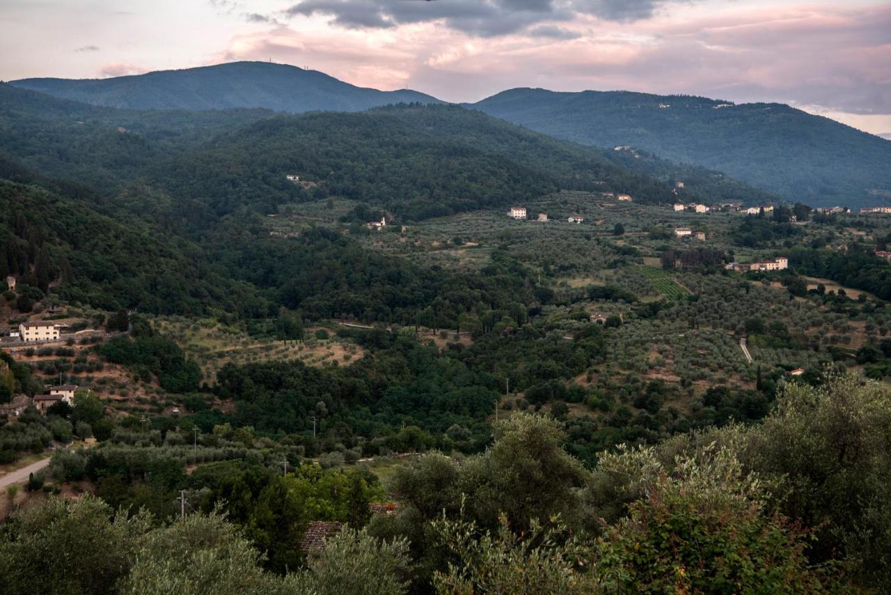 Fattoria Di Caticciano, Elegante Affittacamere Relax E Natura Vicino Firenze Pelago Экстерьер фото