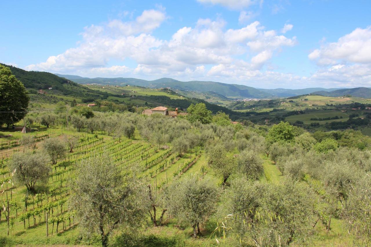 Fattoria Di Caticciano, Elegante Affittacamere Relax E Natura Vicino Firenze Pelago Экстерьер фото